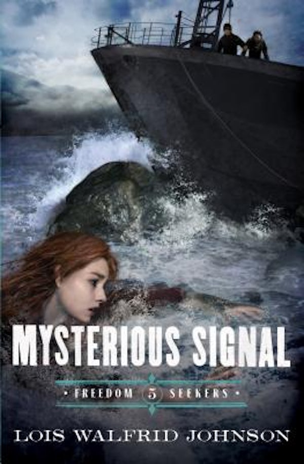 Cover image for Mysterious Signal, isbn: 9780802407207