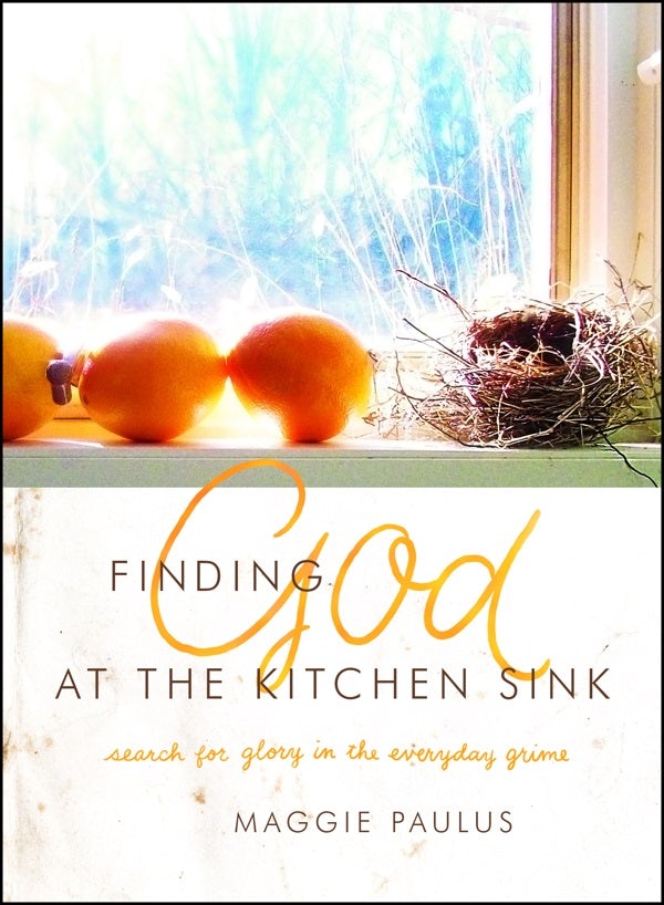 Cover image for Finding God at the Kitchen Sink, isbn: 9780802411808
