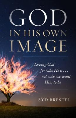 Cover image for God in His Own Image, isbn: 9780802419033