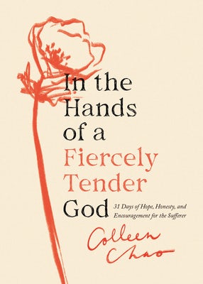 Cover image for In the Hands of a Fiercely Tender God, isbn: 9780802429902