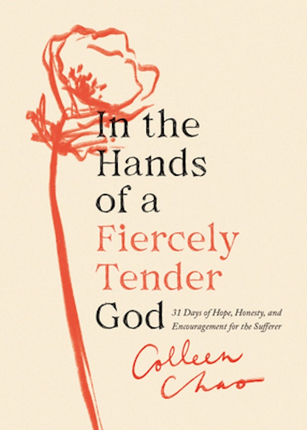 Cover image for In the Hands of a Fiercely Tender God, isbn: 9780802429902