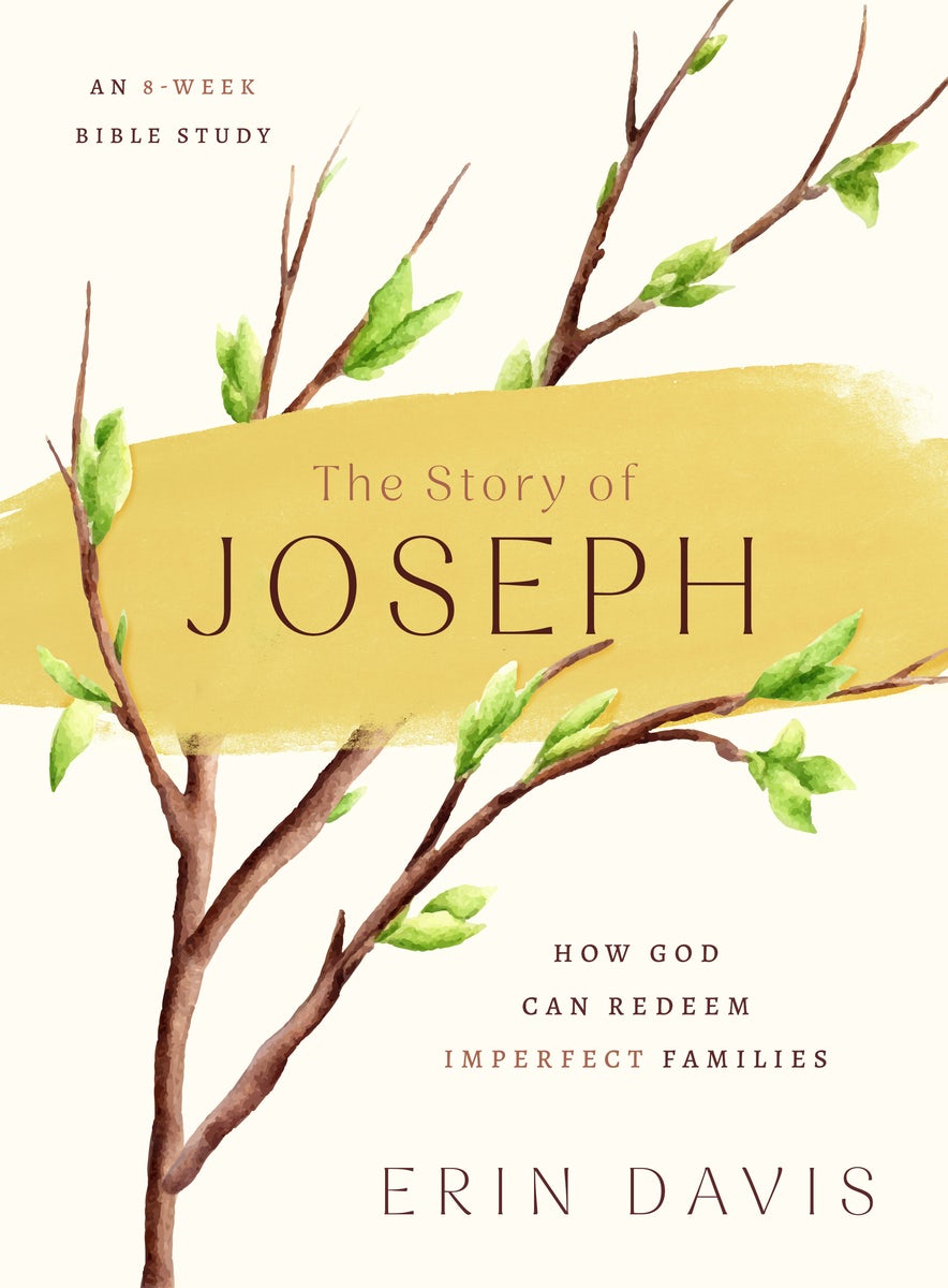 Cover image for The Story of Joseph, isbn: 9780802434562