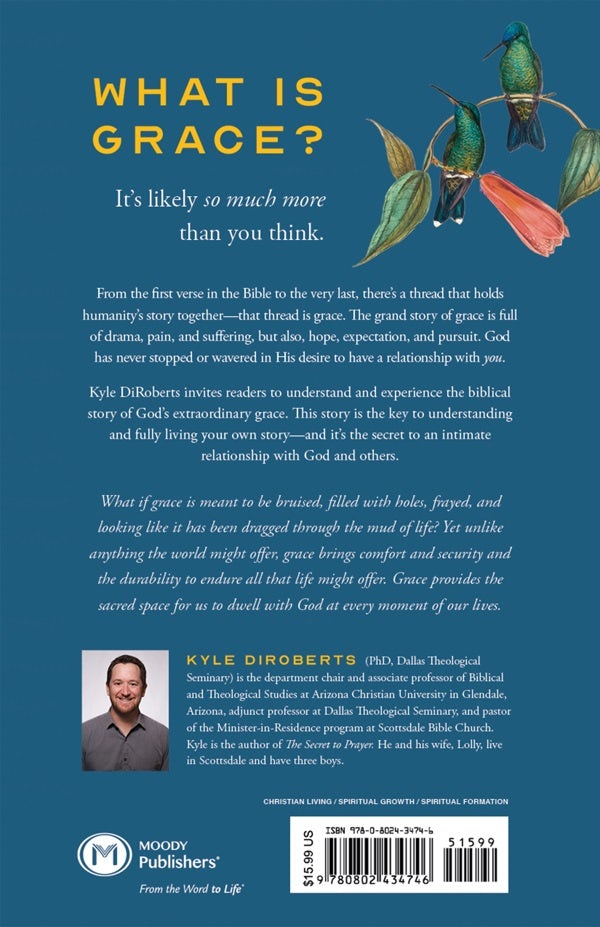 Cover image for Grace Beyond Salvation, isbn: 9780802434746