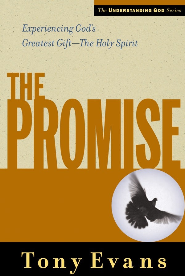 Cover image for The Promise, isbn: 9780802448521