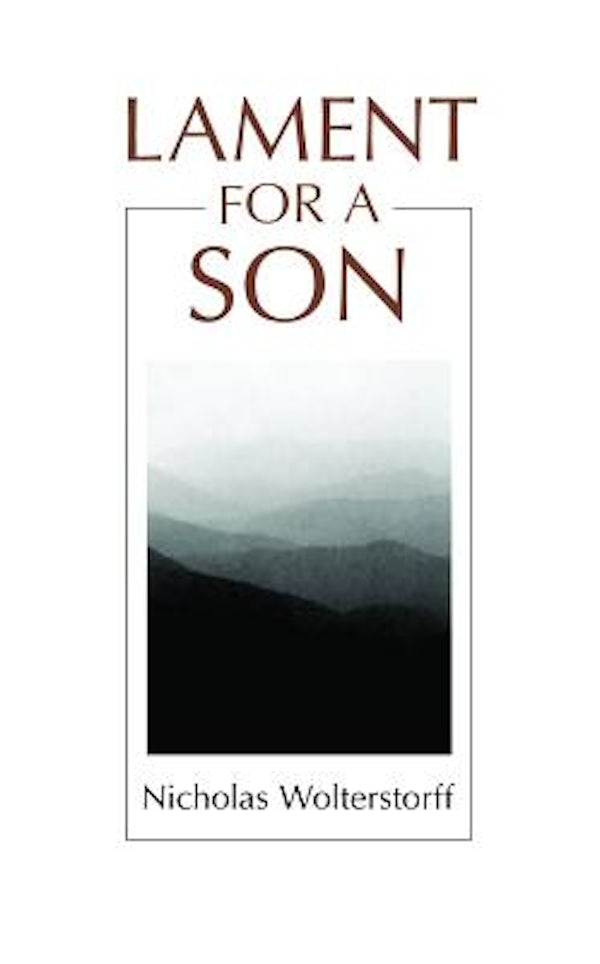 Cover image for Lament for a Son, isbn: 9780802802941