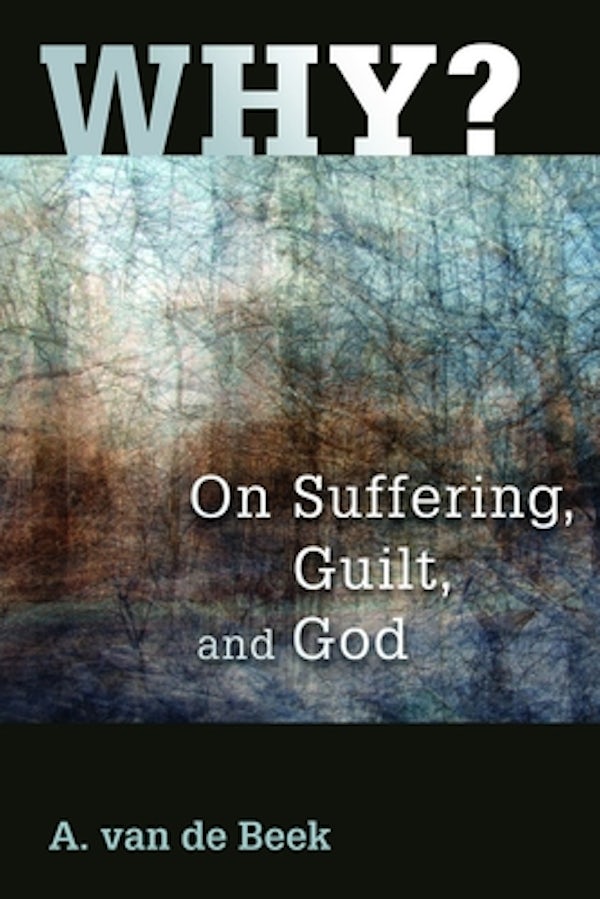 Cover image for Why?, isbn: 9780802804273