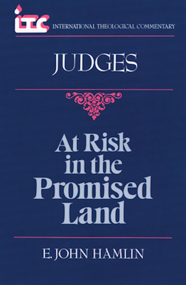 Cover image for At Risk in the Promised Land, isbn: 9780802804327
