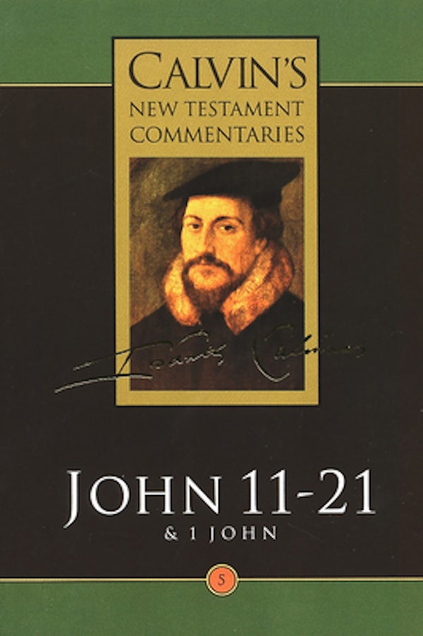 Cover image for Gospel According to St John 11-21, isbn: 9780802808059