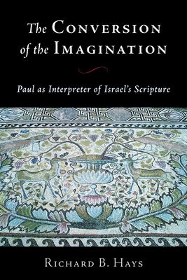 Cover image for The Conversion of the Imagination, isbn: 9780802812629