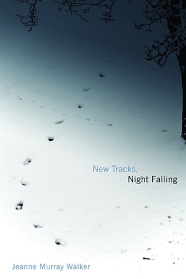 Cover image for New Tracks, Night Falling, isbn: 9780802825728