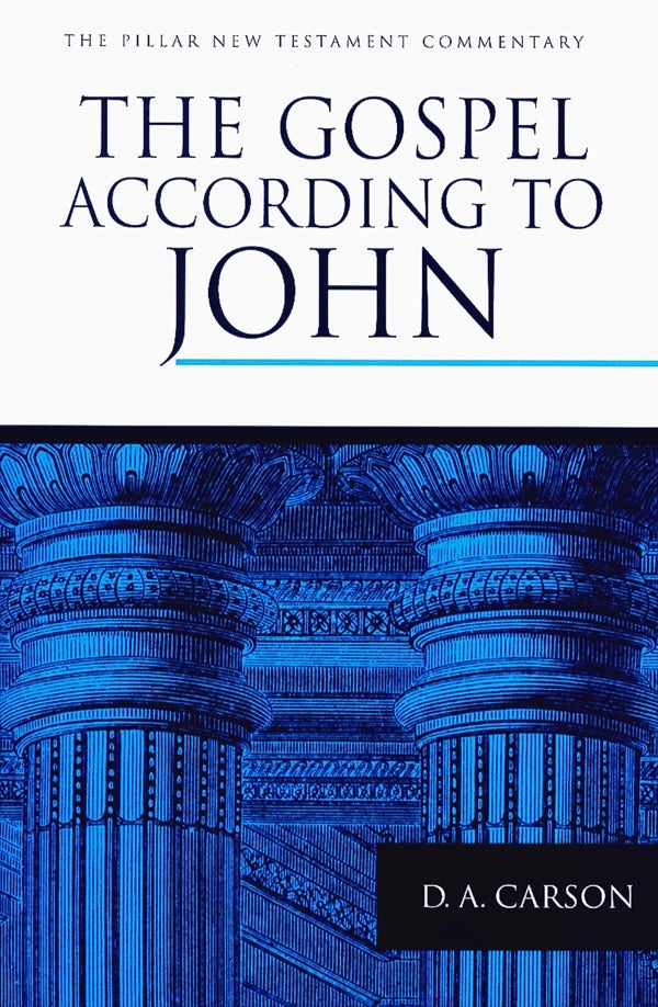 Cover image for The Gospel According to John, isbn: 9780802836830