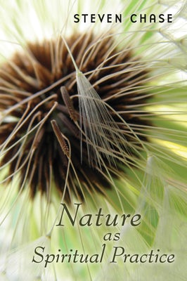 Cover image for Nature as Spiritual Practice, isbn: 9780802840103