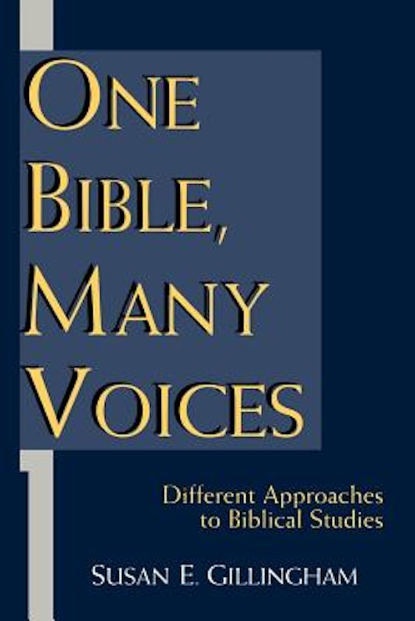Cover image for One Bible, Many Voices, isbn: 9780802846617