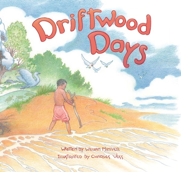 Cover image for Driftwood Days, isbn: 9780802853707