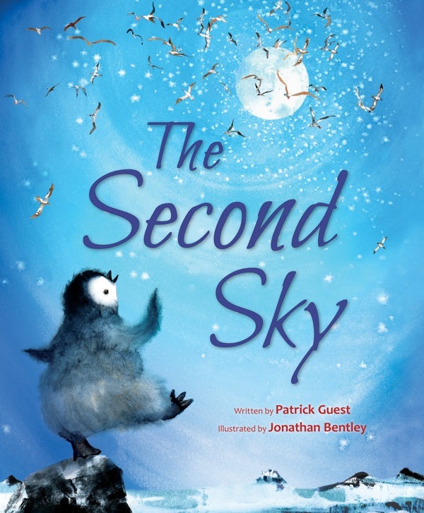 Cover image for The Second Sky, isbn: 9780802855206