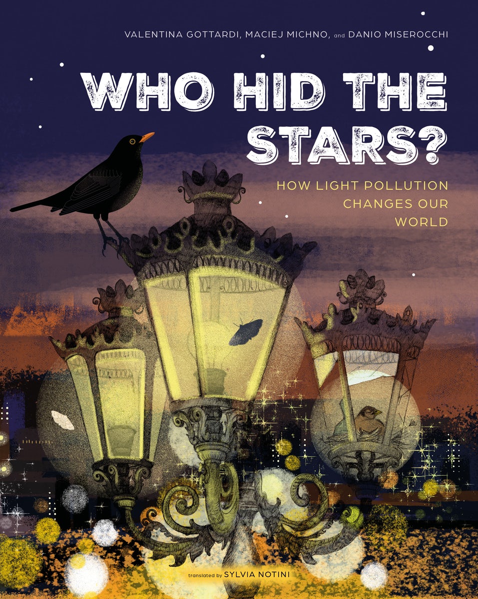 Cover image for Who Hid the Stars?, isbn: 9780802856517