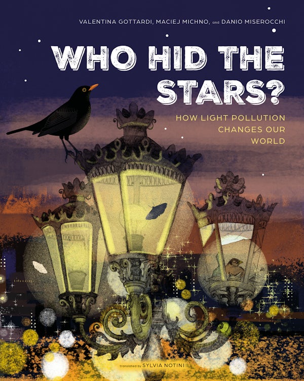 Cover image for Who Hid the Stars?, isbn: 9780802856517