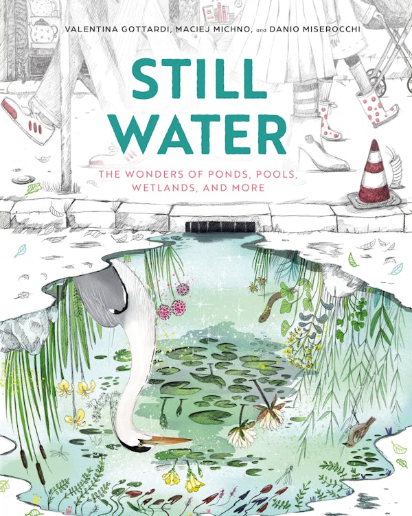 Cover image for Still Water, isbn: 9780802856593