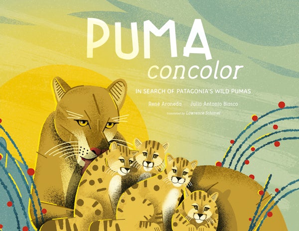 Cover image for Puma Concolor, isbn: 9780802856609