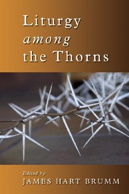 Cover image for Liturgy Among the Thorns, isbn: 9780802860996