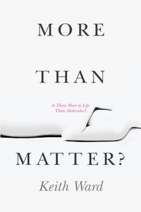Cover image for More Than Matter?, isbn: 9780802866608