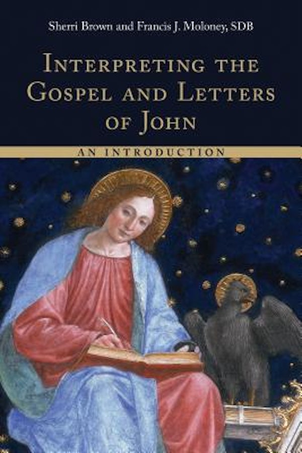 Cover image for Interpreting the Gospel and Letters of John, isbn: 9780802873385