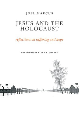 Cover image for Jesus and the Holocaust, isbn: 9780802874351