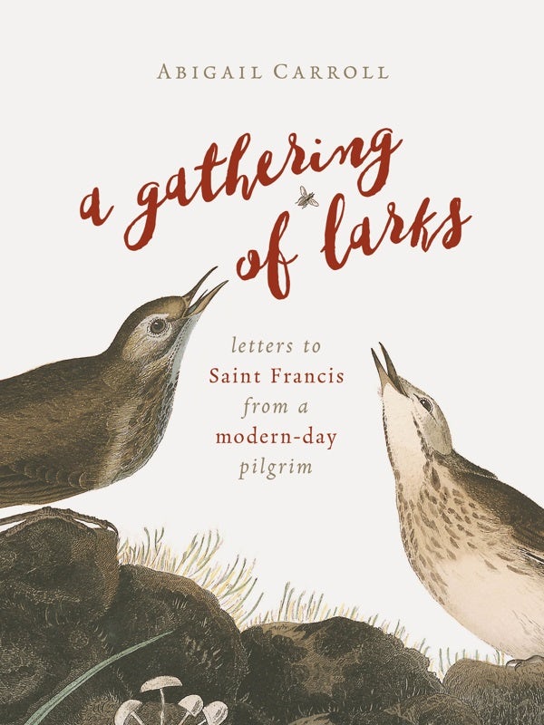 Cover image for A Gathering of Larks, isbn: 9780802874450