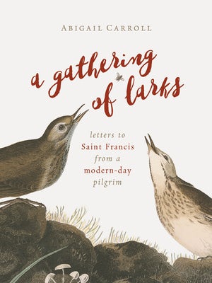 Cover image for A Gathering of Larks, isbn: 9780802874450