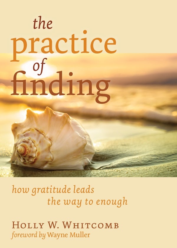 Cover image for The Practice of Finding, isbn: 9780802875303