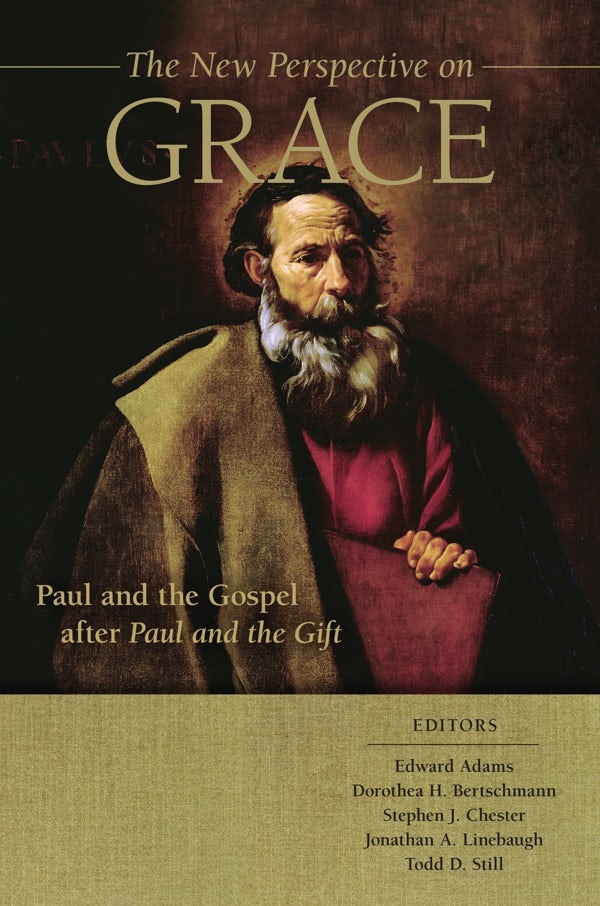 Cover image for The New Perspective on Grace, isbn: 9780802878915