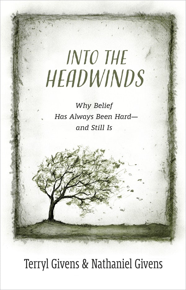 Cover image for Into the Headwinds, isbn: 9780802882431