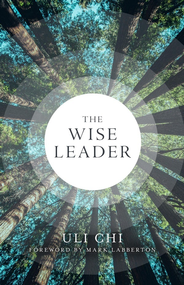 Cover image for The Wise Leader, isbn: 9780802884046