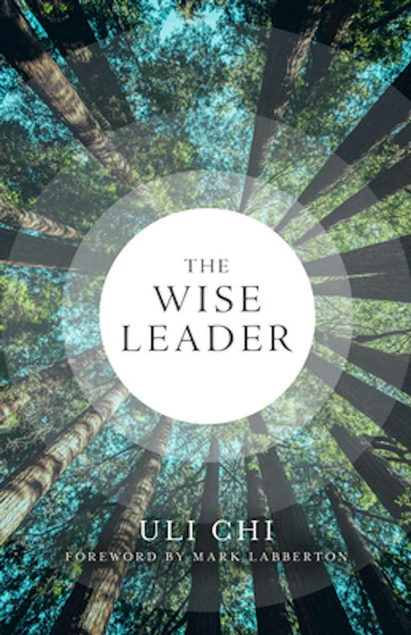 Cover image for The Wise Leader, isbn: 9780802884046