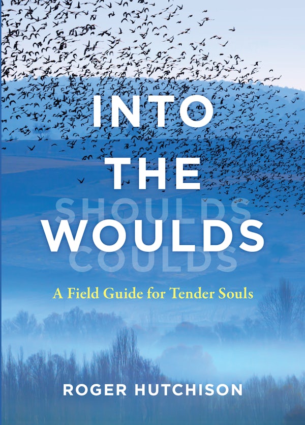 Cover image for Into the Woulds, isbn: 9780802886521