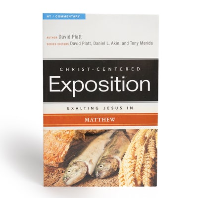 Cover image for Exalting Jesus in Matthew, isbn: 9780805496444