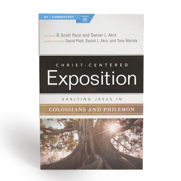 Cover image for Exalting Jesus in Colossians & Philemon, isbn: 9780805498103