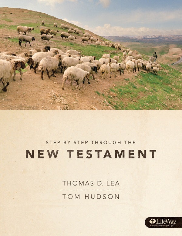 Cover image for Step by Step Through the New Testament - Member Guide, isbn: 9780805499469