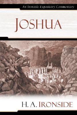Cover image for Joshua, isbn: 9780825429279
