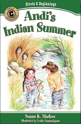 Cover image for Andi's Indian Summer, isbn: 9780825441820