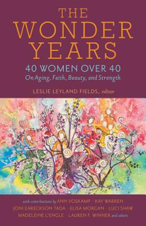 Cover image for The Wonder Years, isbn: 9780825445224