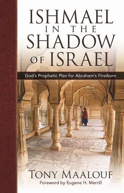 Cover image for Ishmael in the Shadow of Israel, isbn: 9780825448072