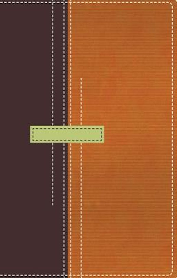 Cover image for Thompson Chain Reference Bible-RV 1960-Personal Size, isbn: 9780829750331