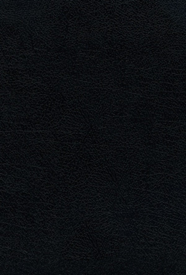 Cover image for Rvr60, Santa Biblia, Letra Grande, Piel Fabricada, Negro, Palabras de Jes�s En Rojo, Comfort Print, isbn: 9780829770582
