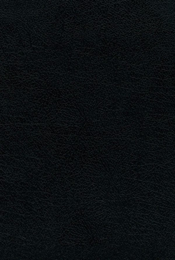 Cover image for Rvr60, Santa Biblia, Letra Grande, Piel Fabricada, Negro, Palabras de Jes�s En Rojo, Comfort Print, isbn: 9780829770582