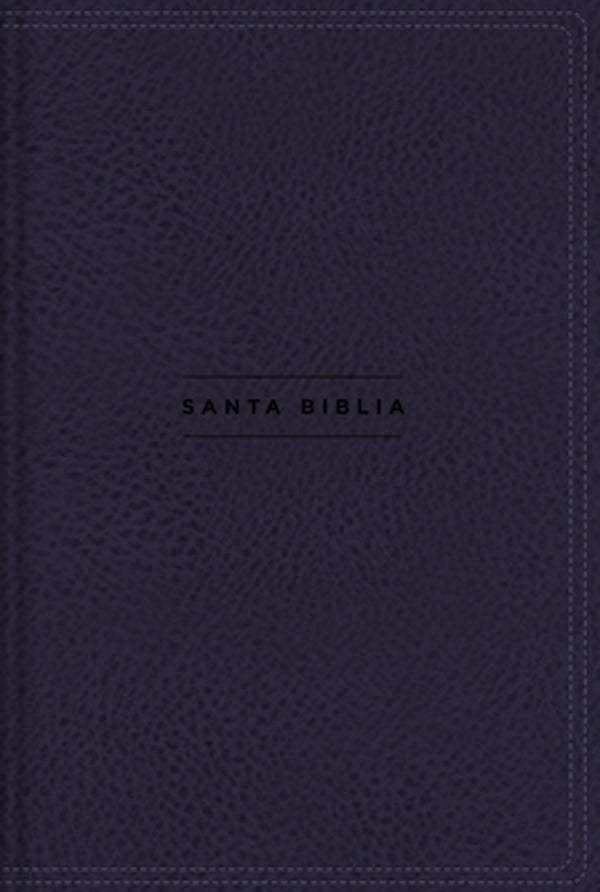 Cover image for Nvi, Santa Biblia, Revisi�n 2022, Una Columna Con Referencias, Leathersoft, Navy, Palabras de Jes�s En Rojo, Comfort Print, isbn: 9780829771787