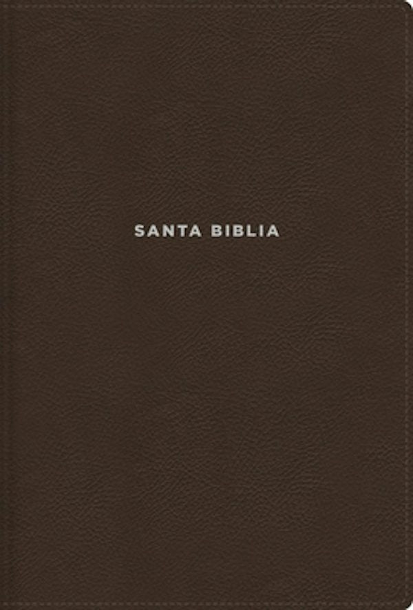 Cover image for Nvi, Biblia de Estudio Actualizada, Revisi�n 2022, Leathersoft, Caf�, Letra Grande, Interior a Color, Palabras de Jes�s En Rojo, Comfort Print, isbn: 9780829771923