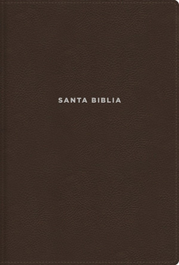 Cover image for Nvi, Biblia de Estudio Actualizada, Revisi�n 2022, Leathersoft, Caf�, Letra Grande, Interior a Color, Palabras de Jes�s En Rojo, Con �ndice, Comfort Print, isbn: 9780829771947