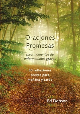 Cover image for Las Oraciones y promesas Softcover Prayers and Promises When Facing a Life-Threatening Illness, isbn: 9780829772418