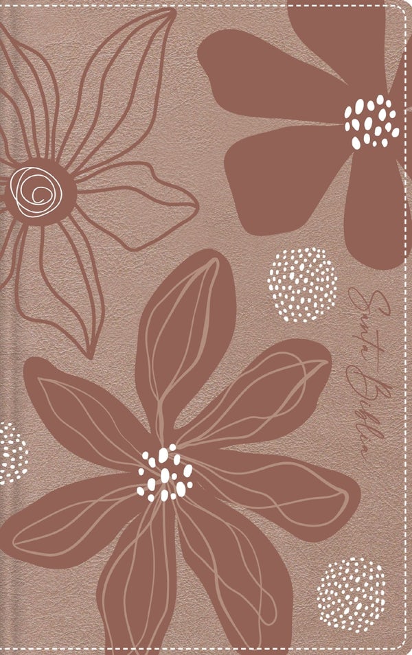 Cover image for Rvr60, Biblia de Estudio Para J�venes Adolescentes, Leathersoft, Oro Rosa, Palabras de Jes�s En Rojo, Comfort Print, isbn: 9780829773279